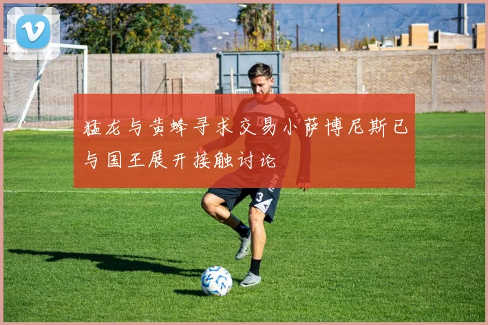 猛龙与黄蜂寻求交易小萨博尼斯已与国王展开接触讨论